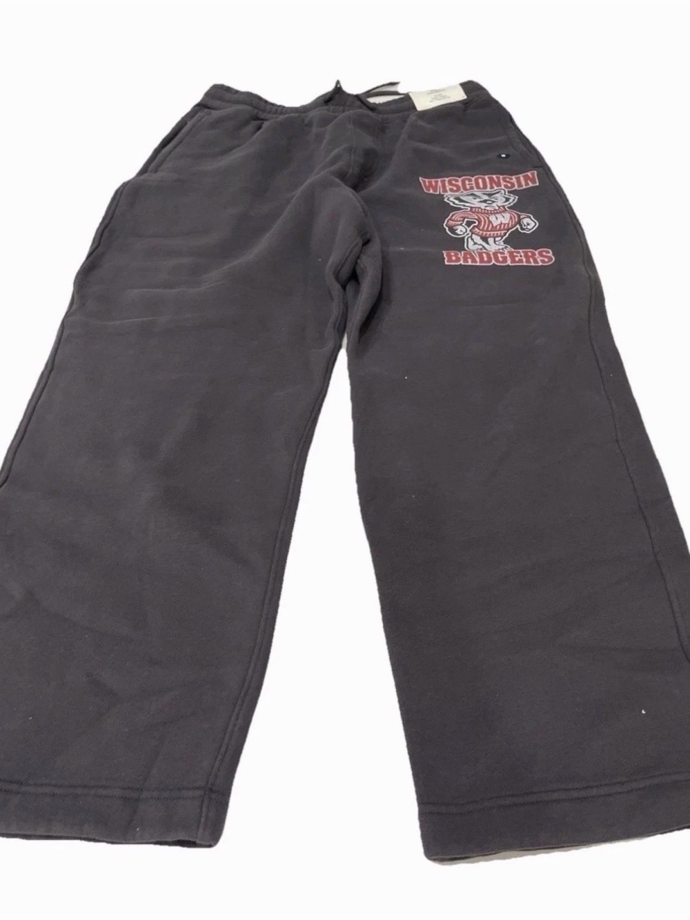 Wisconsin Badgers Black Bucky Fleece Sweatpants - Hollister NEW WITH TAGS